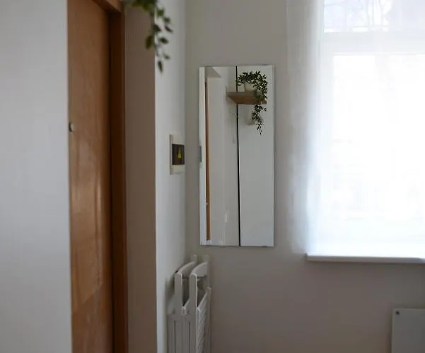 Center Κλαϊπέντα